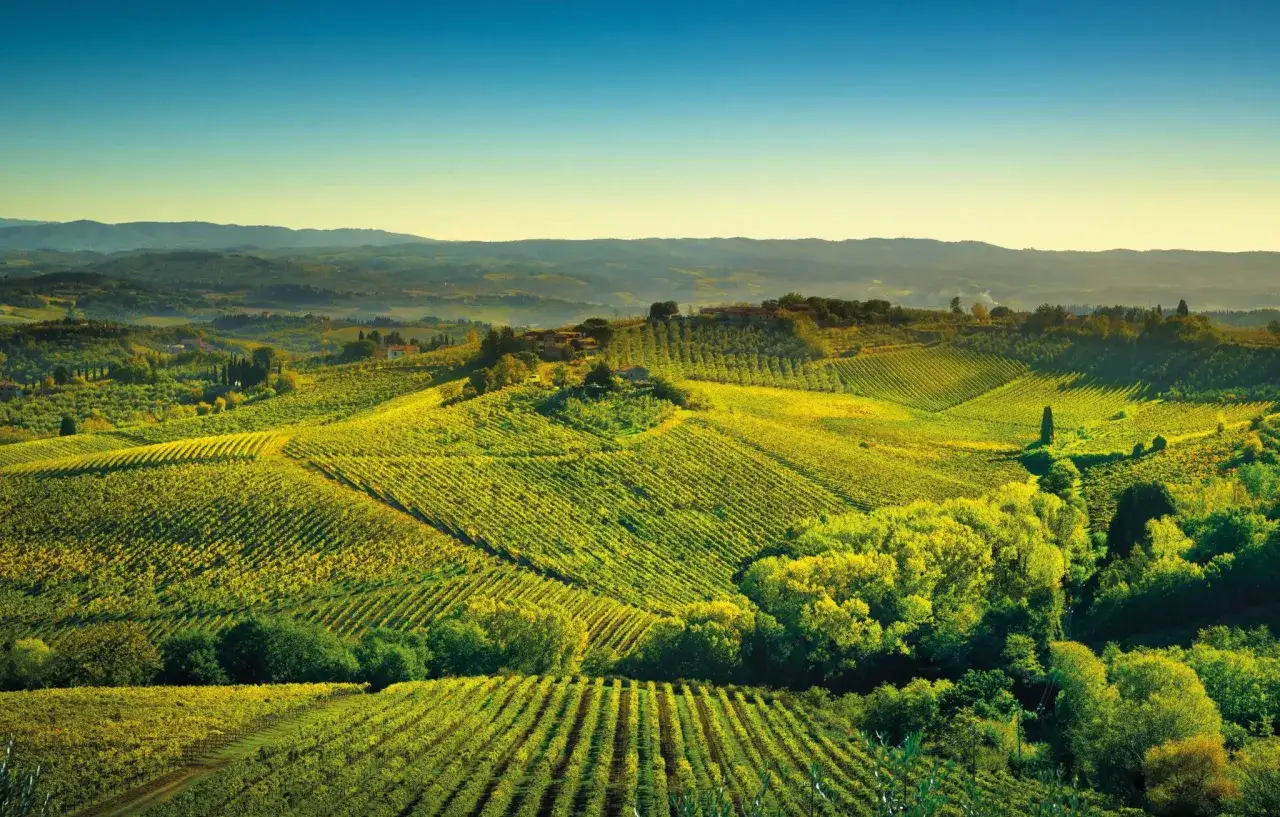 Colline toscane illuminate dal sole, con vigneti rigogliosi che promettono i **best chianti wines**.