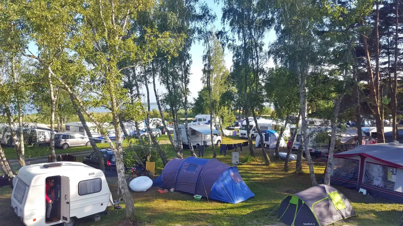 Malowniczy pole namiotowe nad morzem przy plaży, z namiotami, kamperami i samochodami wśród drzew.