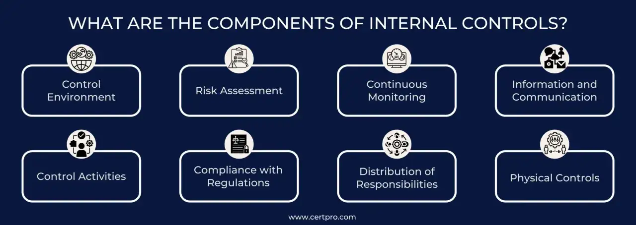 Diagram shows the components of internal controls: Control Environment, Risk Assessment, Continuous Monitoring, Information and Communication, Control Activities, Compliance with Regulations, Distribution of Responsibilities, and Physical Controls.