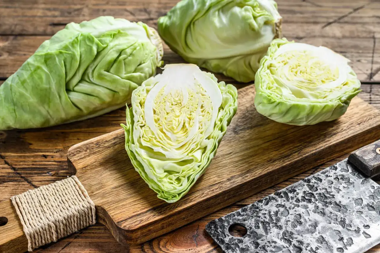 Frischer Spitzkohl auf einem Holzbrett, bereit zum Zerkleinern und spitzkohl einfrieren für spätere Mahlzeiten.
