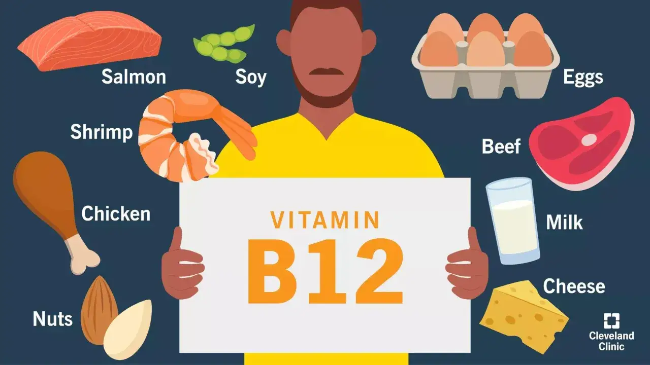 Vitamin B12 Lebensmittel: Lachs, Garnelen, Huhn, N&uuml;sse, Soja, Eier, Rindfleisch, Milch, K&auml;se.