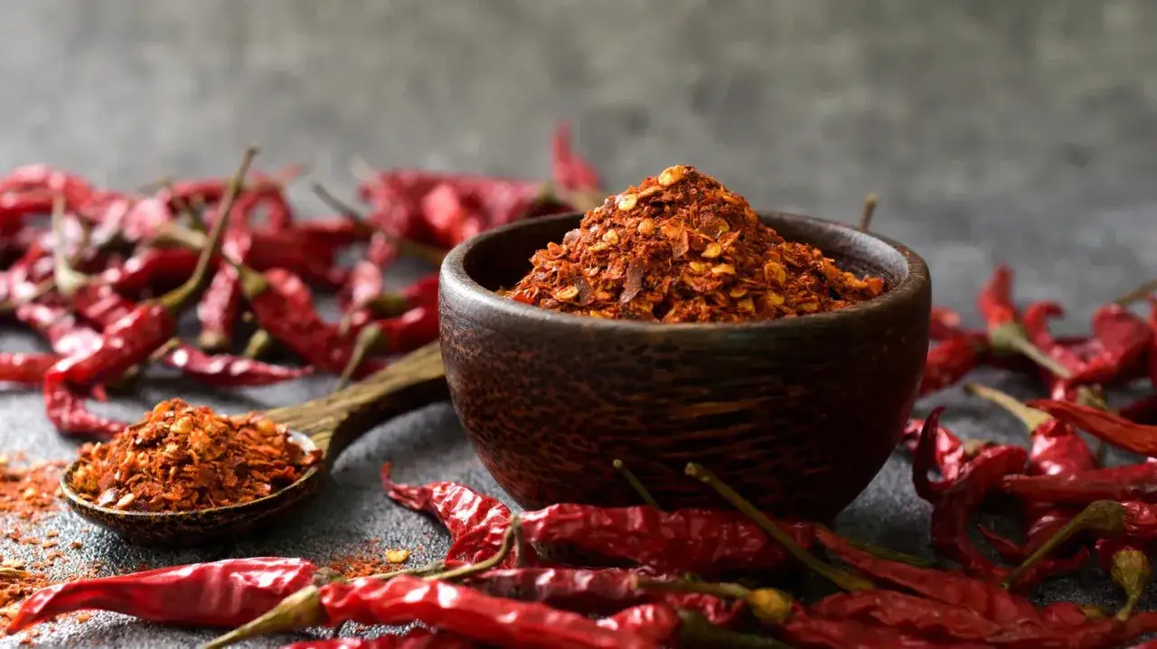 Getreideartige rote Chiliflocken, die zeigen, was ist peperoncino, umgeben von ganzen getrockneten Chilis.