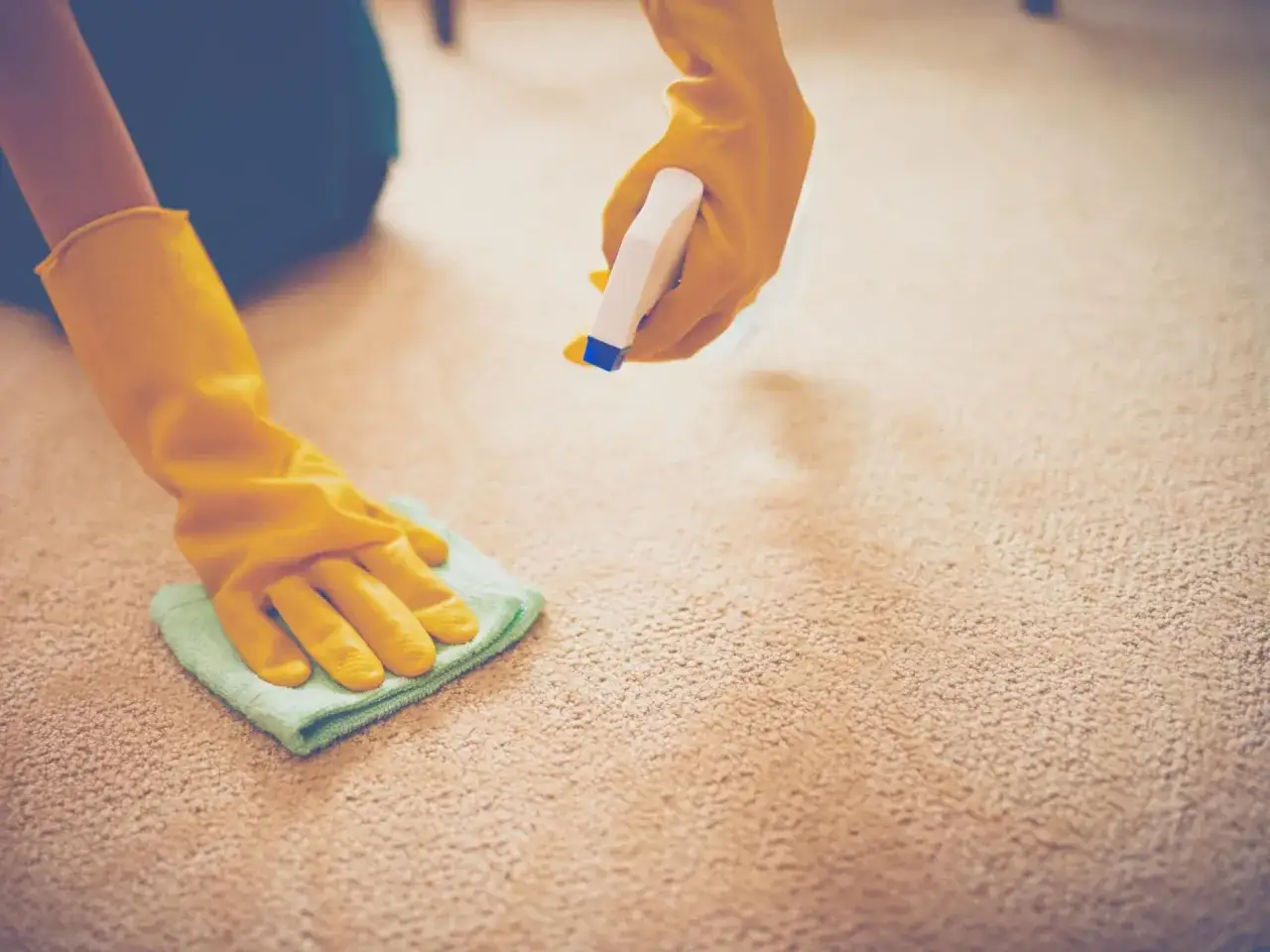 Mit Hausmitteln erbrochenes aus Sofa entfernen: Gelbe Handschuhe sprühen Reiniger auf Teppich und wischen mit Tuch.