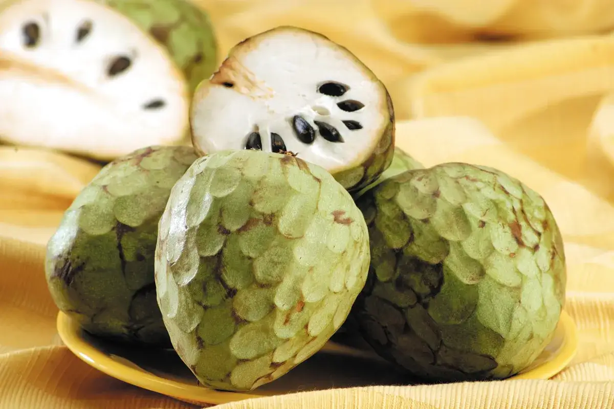 Annona, un frutto esotico con polpa bianca e semi neri. La pianta inizia a fruttificare dopo 3-4 anni dalla messa a dimora.