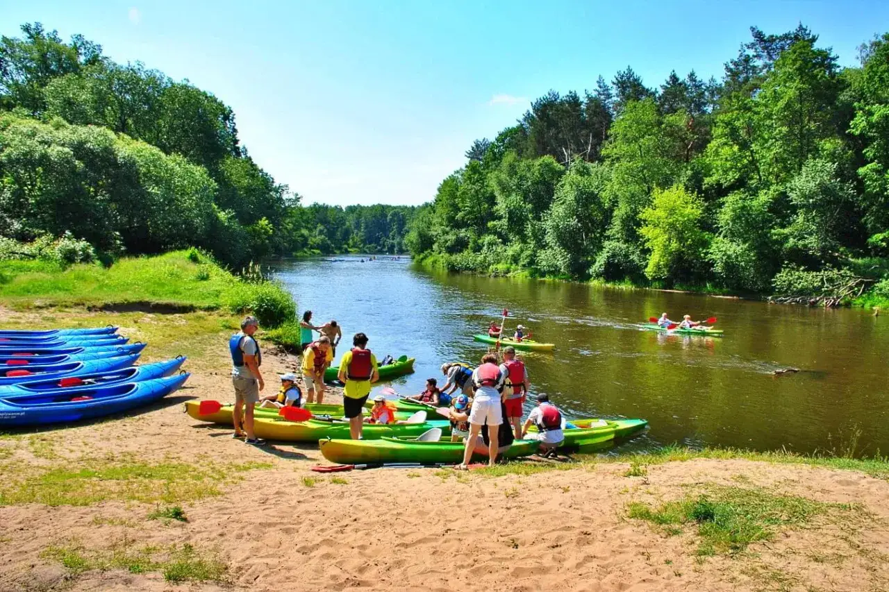 Grupa ludzi przygotowuje się do spływu kajakowego na rzece Pilicy. Kajaki czekają na piaszczystym brzegu, a inni już pływają po wodzie.