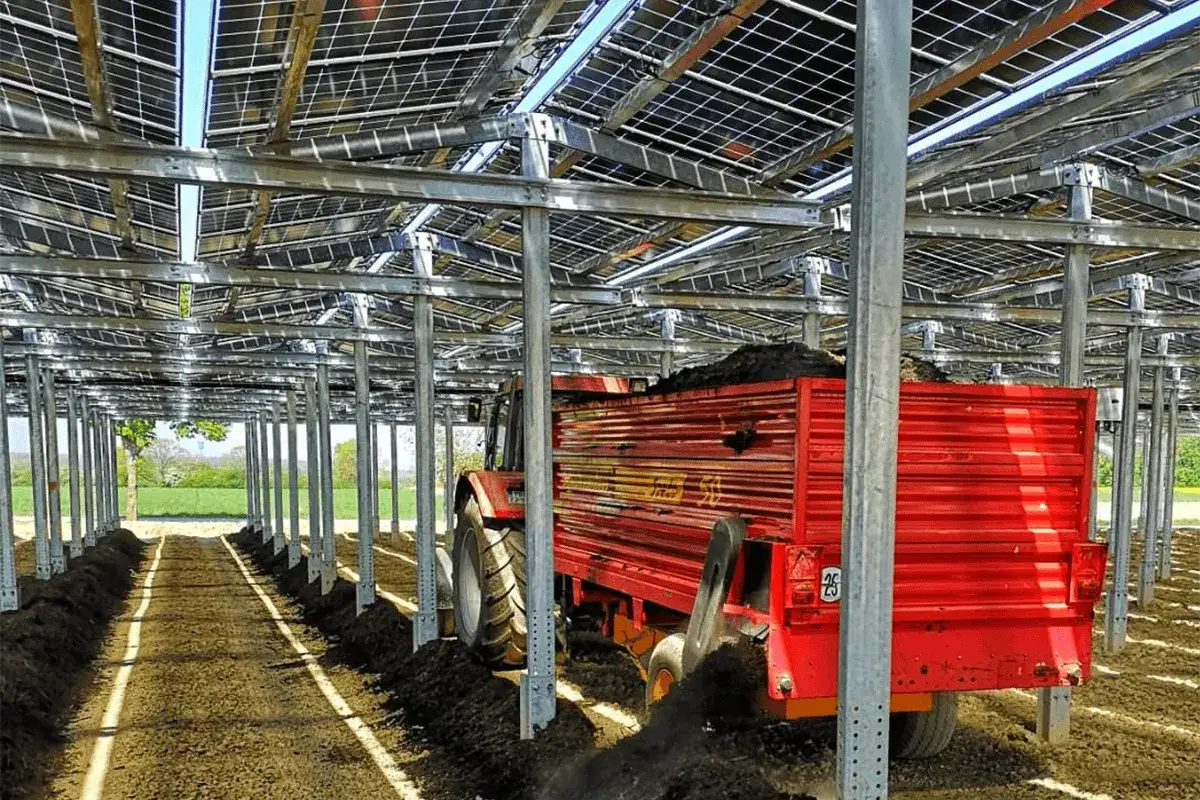Ein roter Traktor mit Anhänger verteilt Erde unter einer Agri-PV Unterkonstruktion mit Solarmodulen.