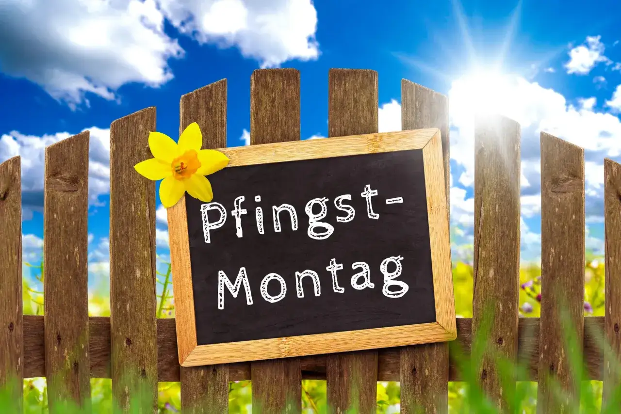 Sonnenschein und eine gelbe Narzisse zieren ein Schild mit