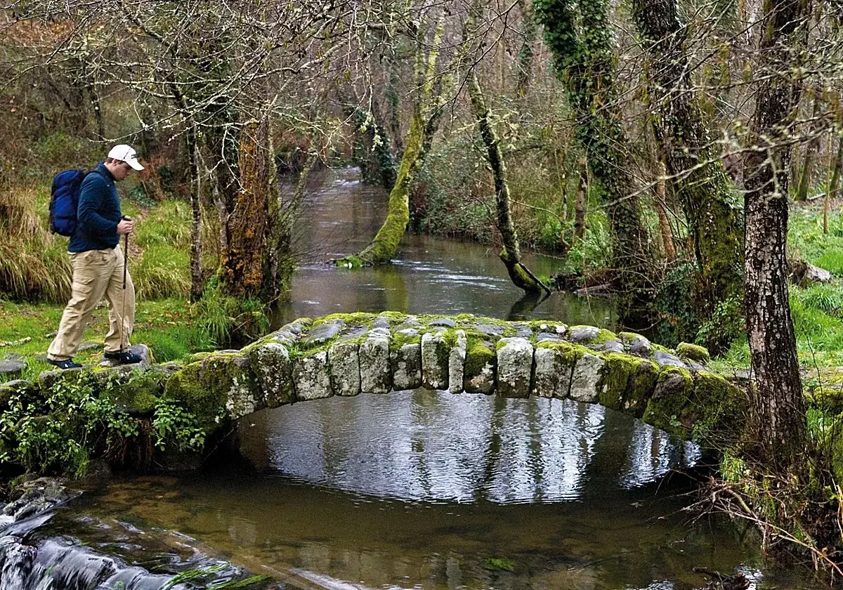 Senderista cruza un puente de piedra cubierto de musgo sobre uno de los pintorescos **ríos de Galicia**, rodeado de árboles frondosos.