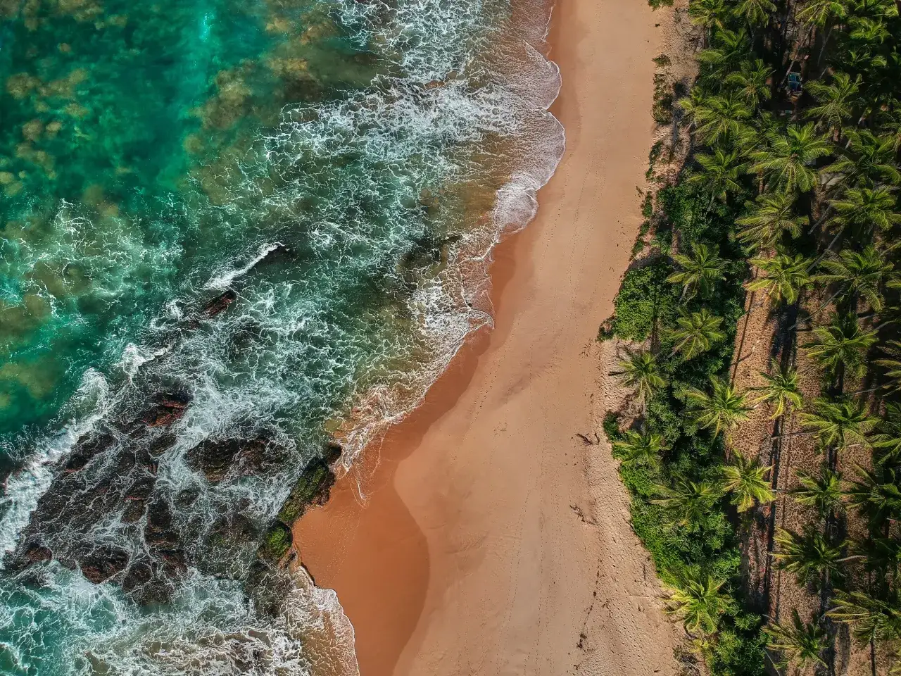 Tropikalna plaża z palmami i turkusową wodą. Tak właśnie wygląda Sri Lanka, gdzie leży ten raj.