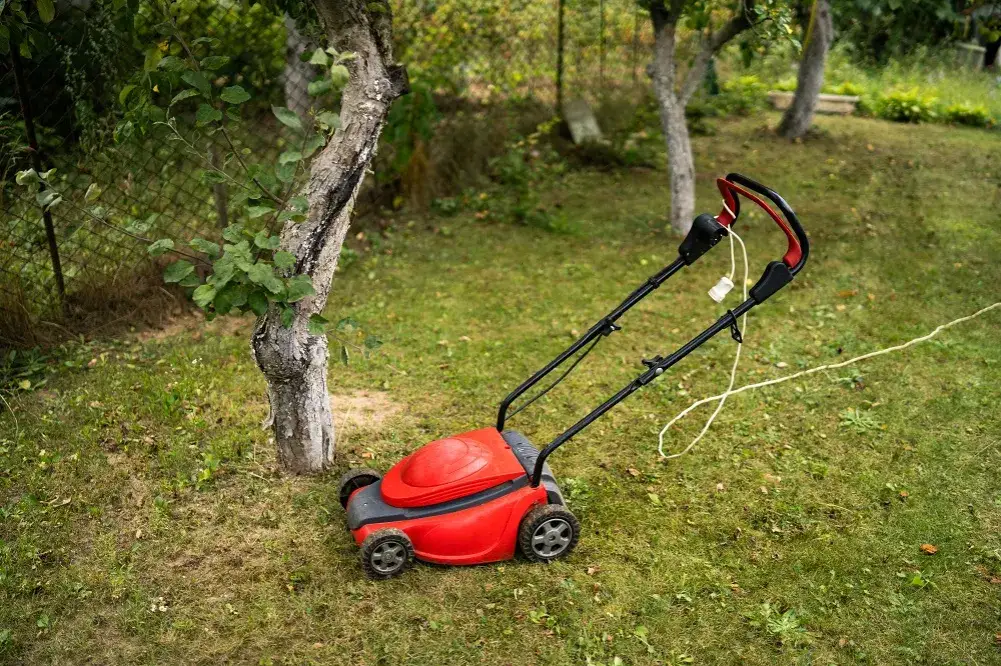 Zdjęcie Kosiarka elektryczna jaką kupić - uniknij najczęstszych błędów przy wyborze