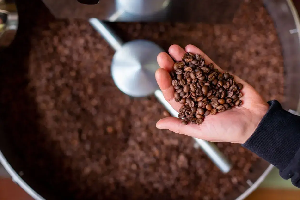 Mano che tiene chicchi di caffè tostati, con un grande contenitore di caffè in grani quale scegliere sullo sfondo.