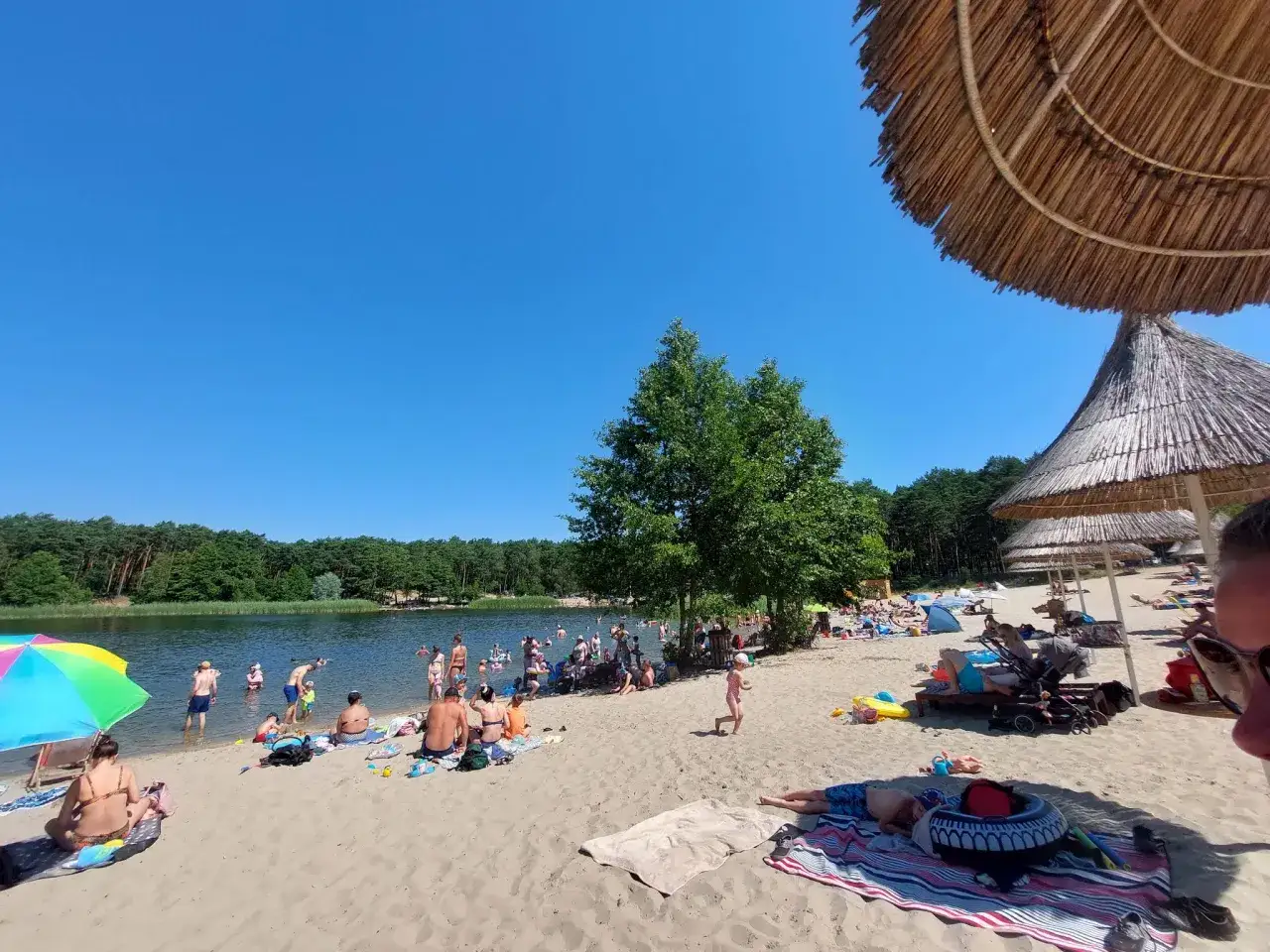 Słoneczny dzień na plaży w Pieckach Bydgoszcz. Ludzie kąpią się, opalają i odpoczywają pod parasolami.