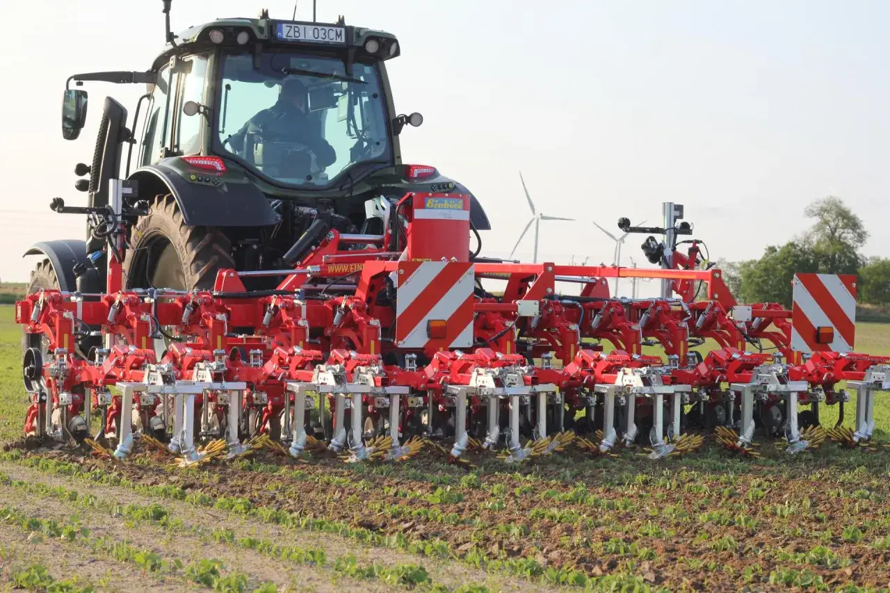 Traktor z kultywatorem pielęgnuje młode rośliny. Zastanawiasz się, ile gryki na ha można uzyskać po takiej pielęgnacji?