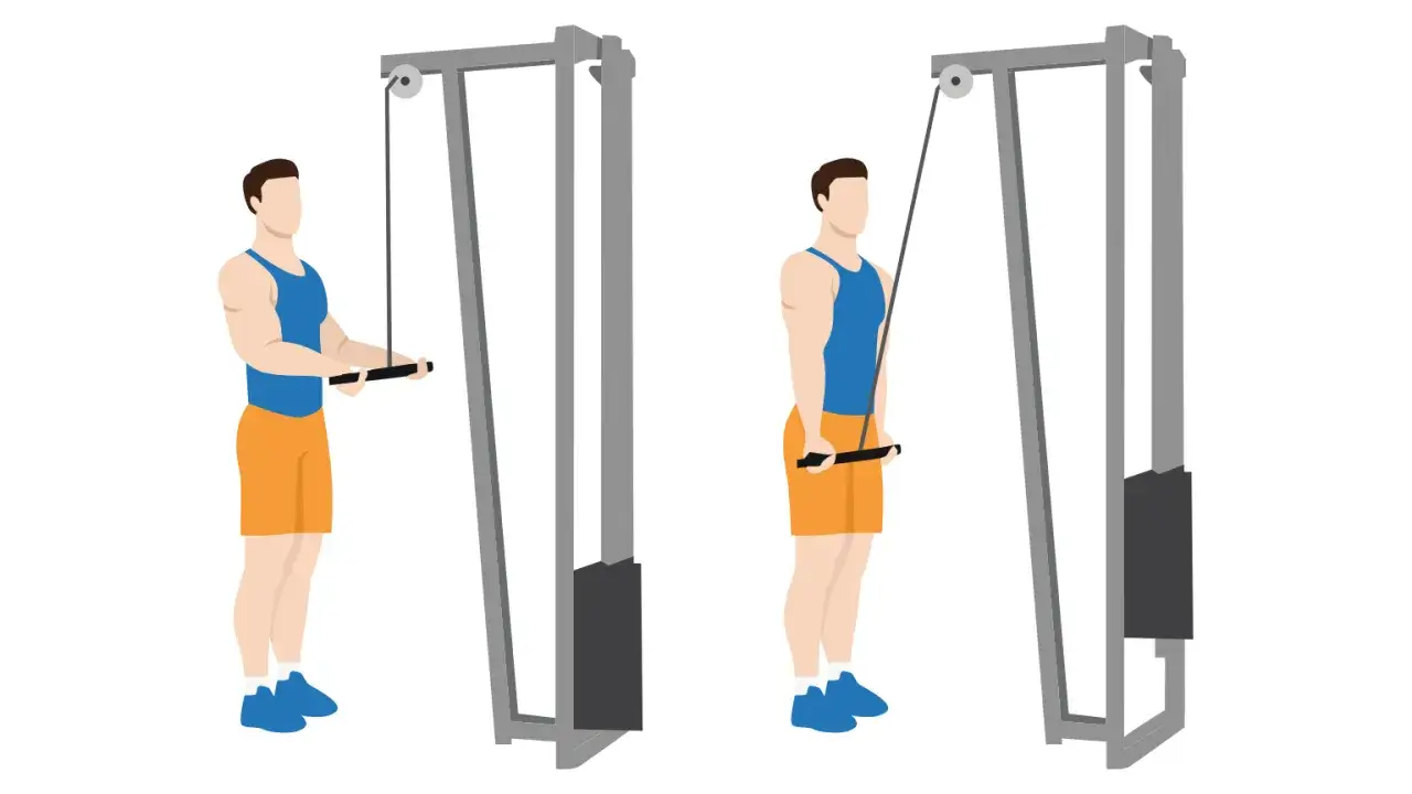 Man utf&ouml;r triceps pushdown med ett rep i en kabelmaskin.