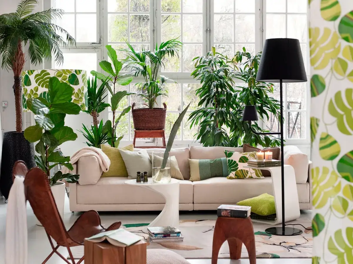 Un salón acogedor con varias plantas altas de interior, un sofá beige, una lámpara de pie negra y una silla de cuero.
