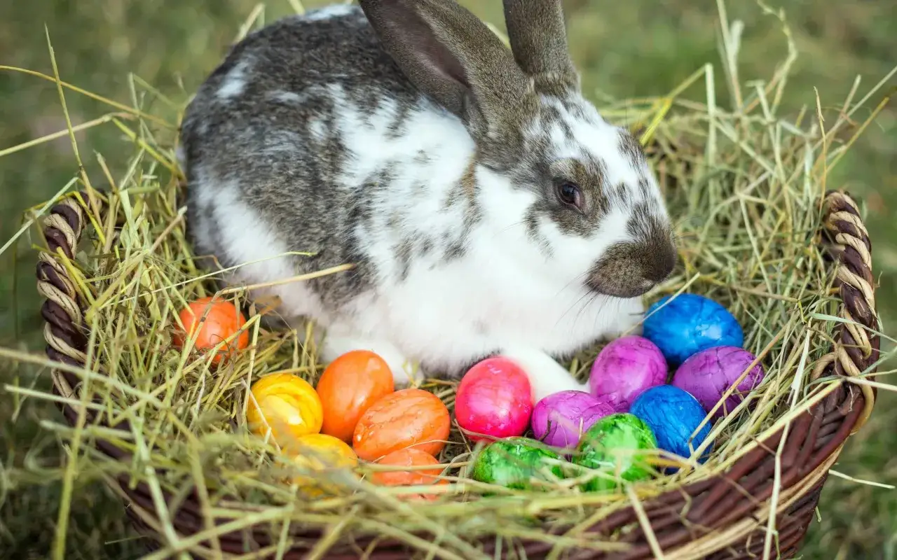 Osterhase sitzt in einem Korb mit bunten Eiern. Das ist ein Symbol, was feiert man an Ostern: neues Leben und Freude.