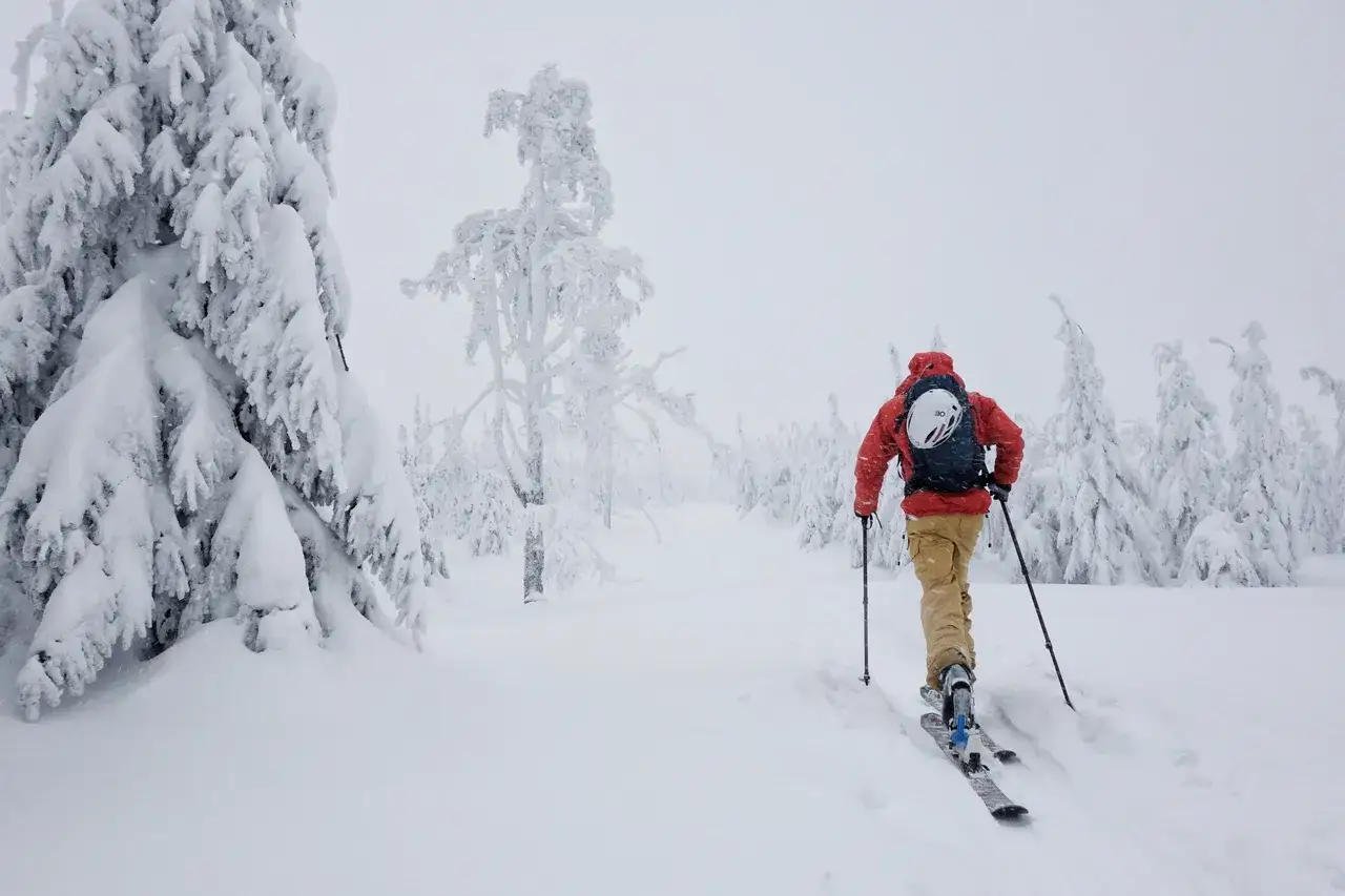 Skitouring co to? Narciarz w czerwonej kurtce wspina się na nartach po zaśnieżonym lesie.