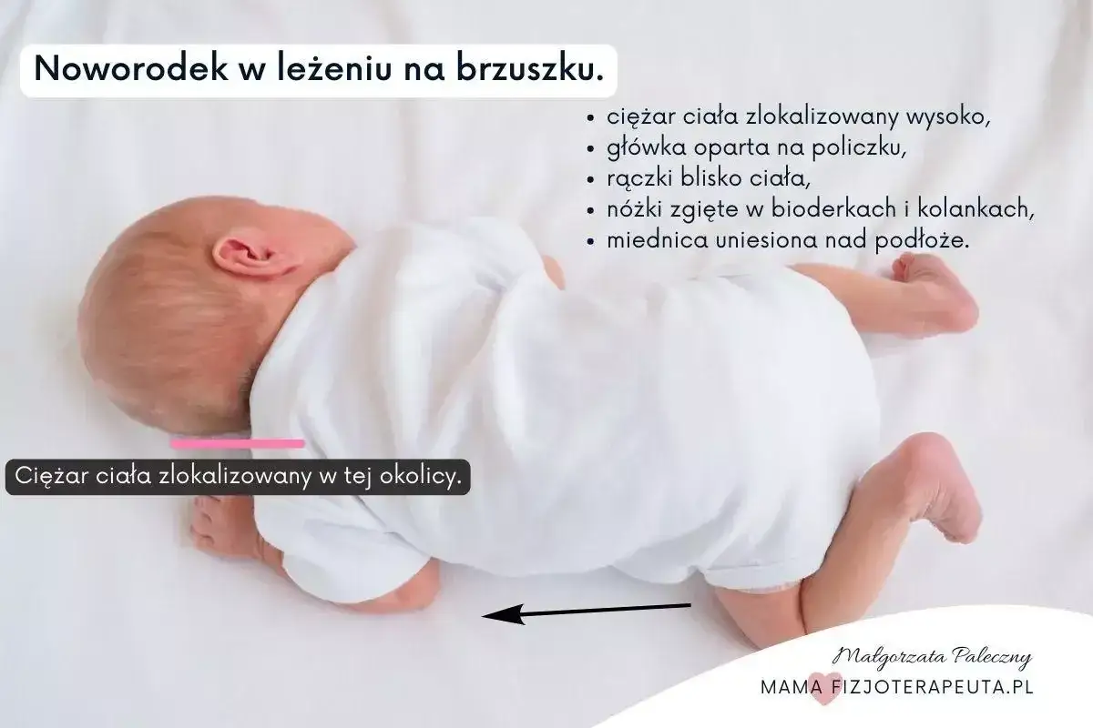 Noworodek leży na brzuszku, z ciężarem ciała skupionym wysoko. Jego gł&oacute;wka jest oparta na policzku, rączki blisko ciała, a n&oacute;żki zgięte.