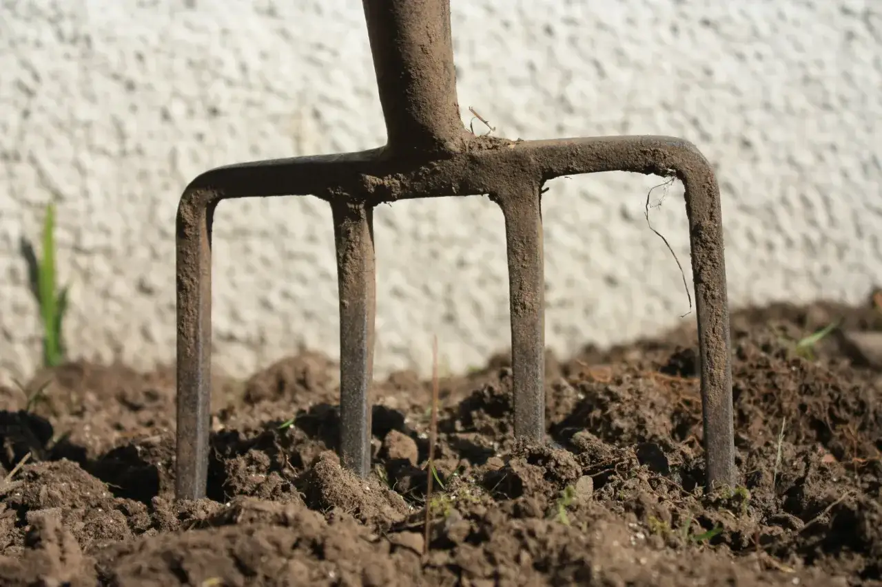 Ziemia w ogrodzie, widły wbijają się w glebę. Zastanawiasz się, ile waży litr ziemi?