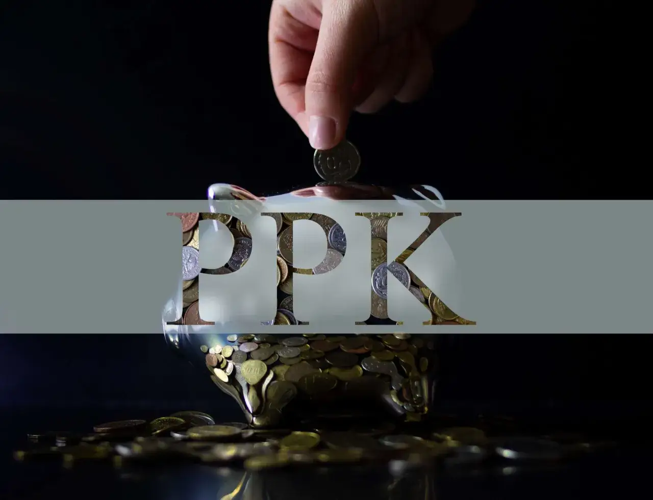 pracownicze plany kapitałowe logo