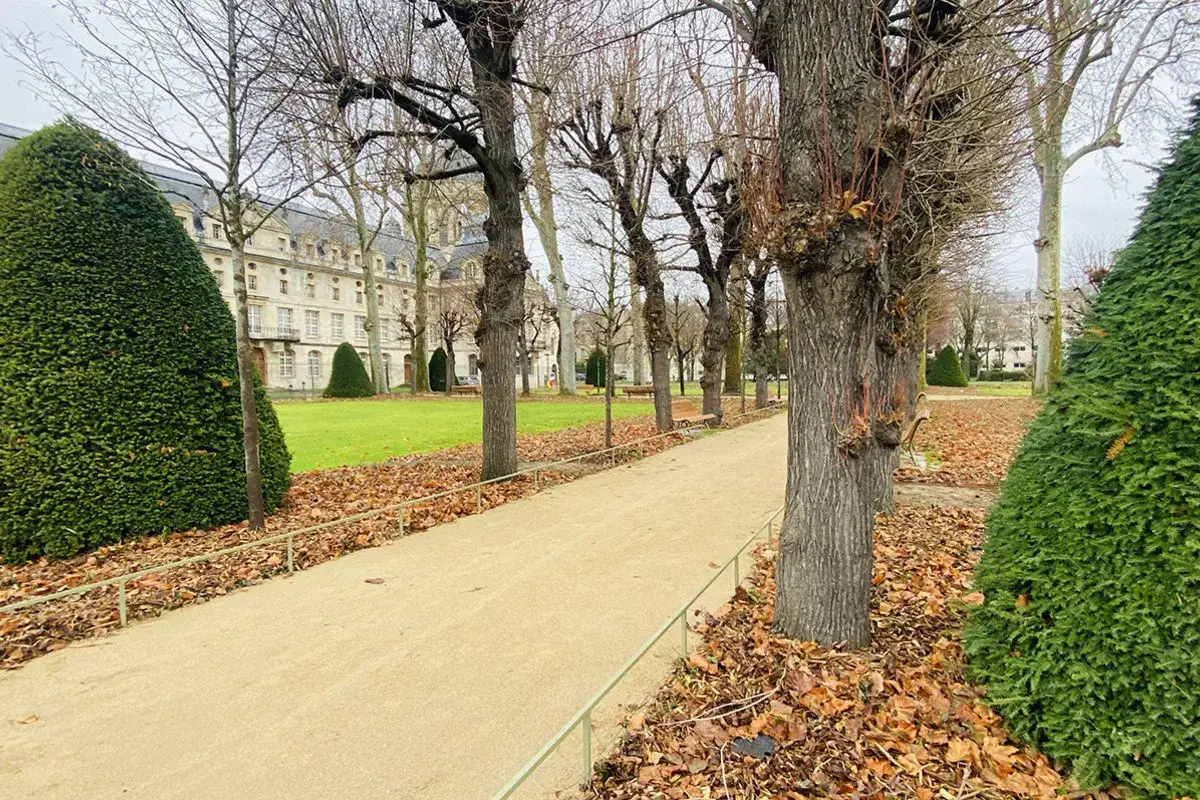 Allée d'arbres dénudés et de buissons taillés dans le val de grâce, avec un bâtiment historique en arrière-plan.