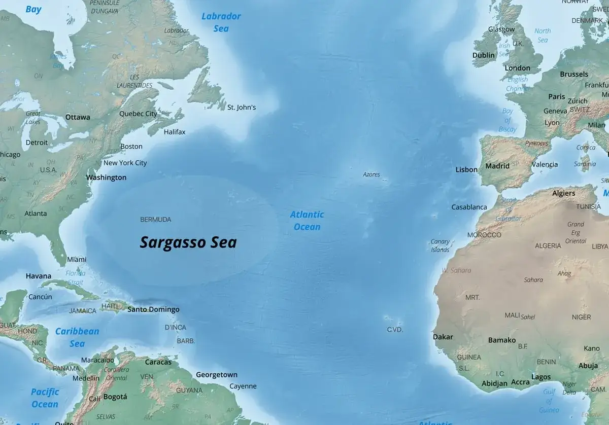 Mapa Atlantyku z zaznaczonym Morzem Sargassowym. Różnica między morzem a oceanem jest widoczna na przykładzie Morza Sargassowego i Oceanu Atlantyckiego.