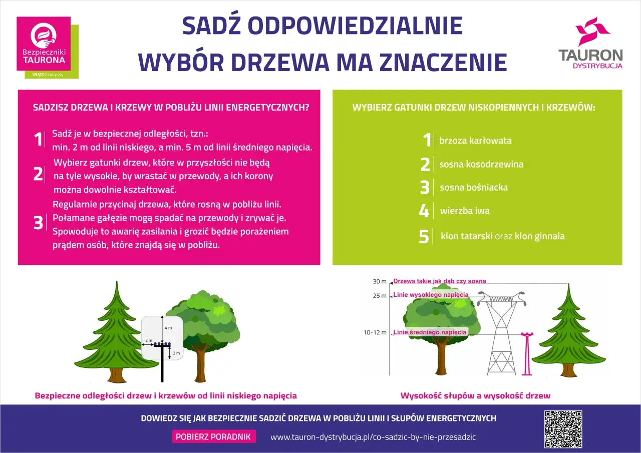 Zielone osiedle, drzewa w mieście