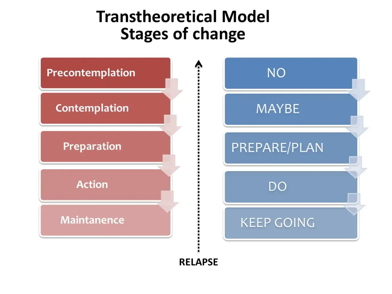 Modelo Transtheoretical de Prochaska y DiClemente: etapas de cambio, desde la precontemplaci&oacute;n hasta el mantenimiento, con opciones de 