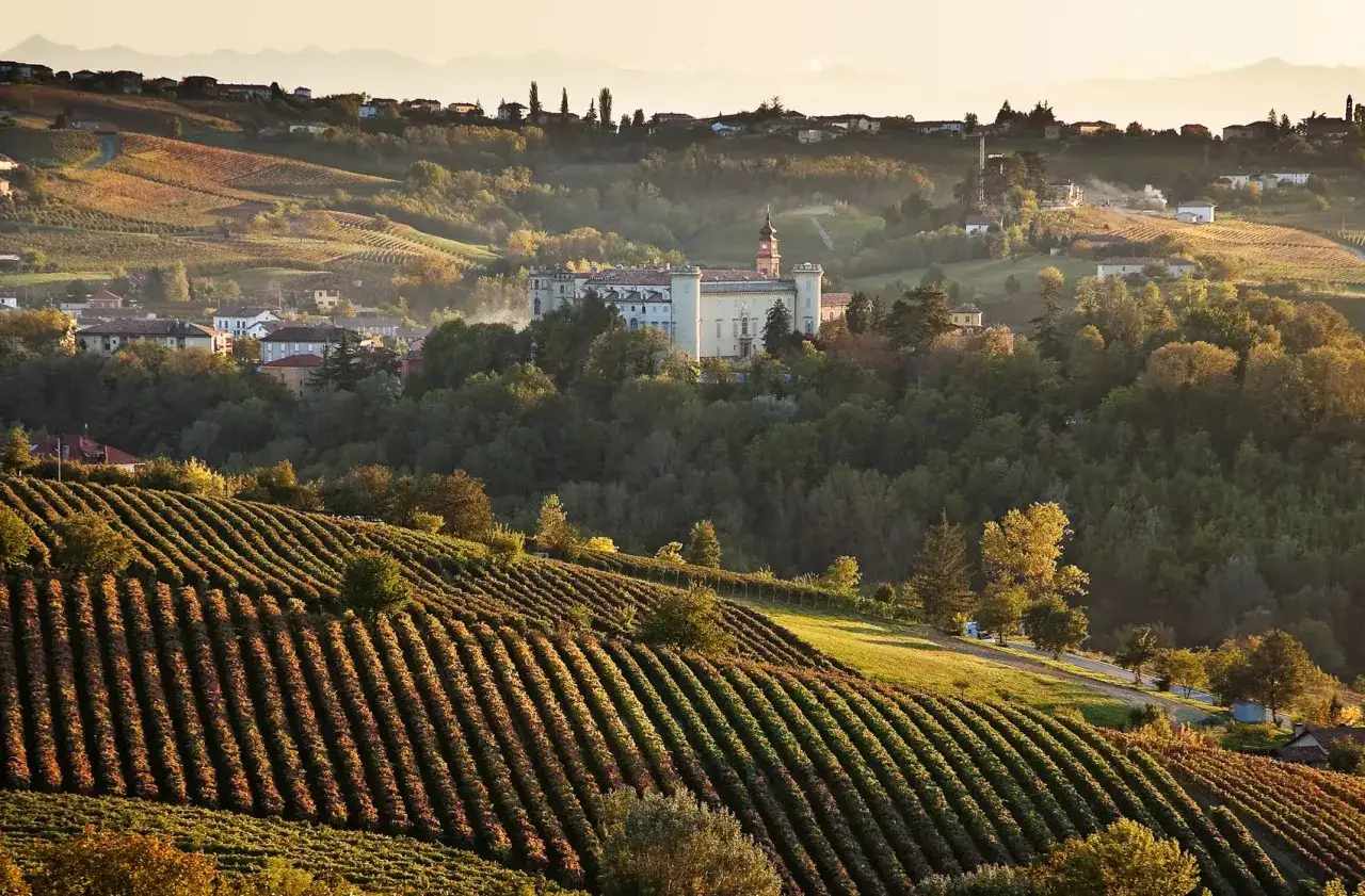 Un castello domina le colline piemontesi, circondato da vigneti dorati al tramonto. Un perfetto itinerario piemonte per amanti del vino e della storia.