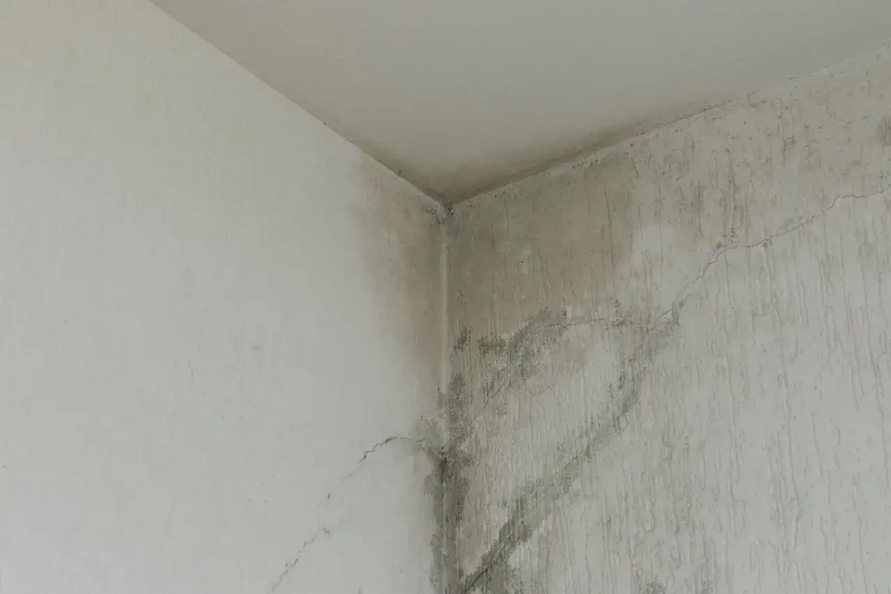 Angolo di una stanza con macchie scure e crepe sul muro, segnali evidenti di come riconoscere le infiltrazioni d'acqua.