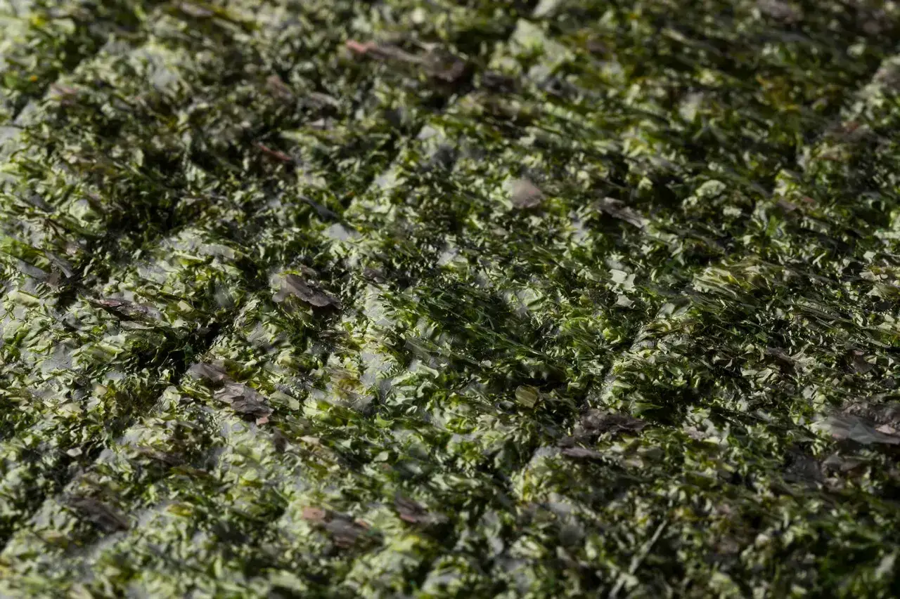 Nori co to? Zielone, chrupiące płaty alg morskich, idealne do sushi i przekąsek.
