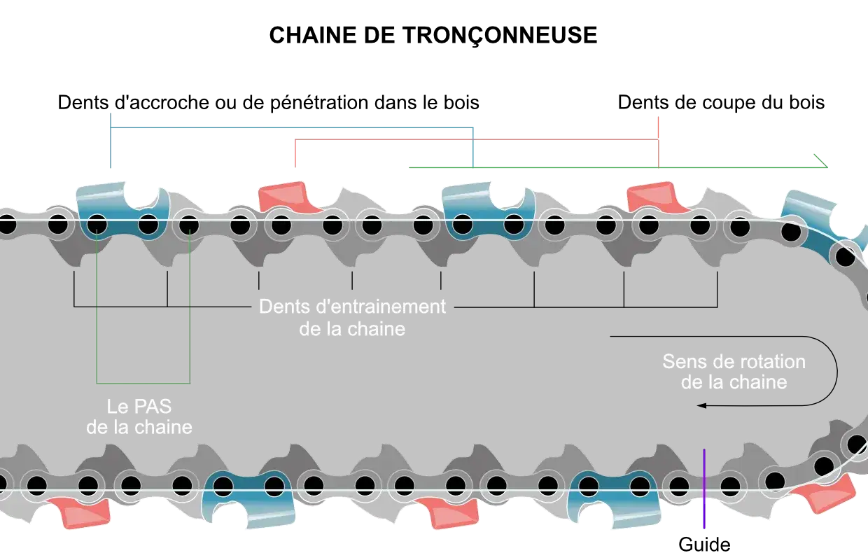 Sch&eacute;ma illustrant le sens de rotation de la cha&icirc;ne de tron&ccedil;onneuse, le pas et les dents d'entra&icirc;nement.