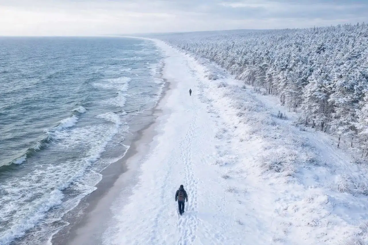 Spacerem po zaśnieżonej plaży, gdzie zimą nad morze, widać ślady na śniegu i sosnowy las.