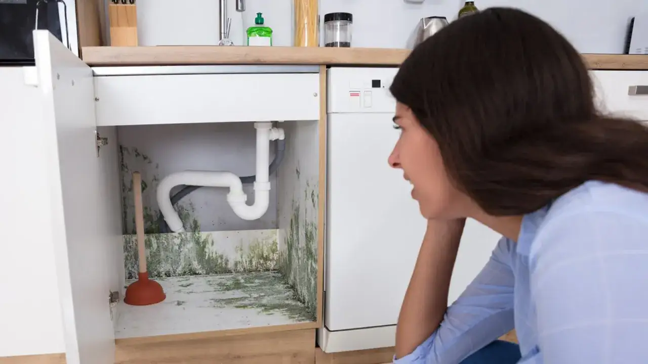 Mujer descubre moho y un desatascador bajo el fregadero, un claro olor a podrido en casa.