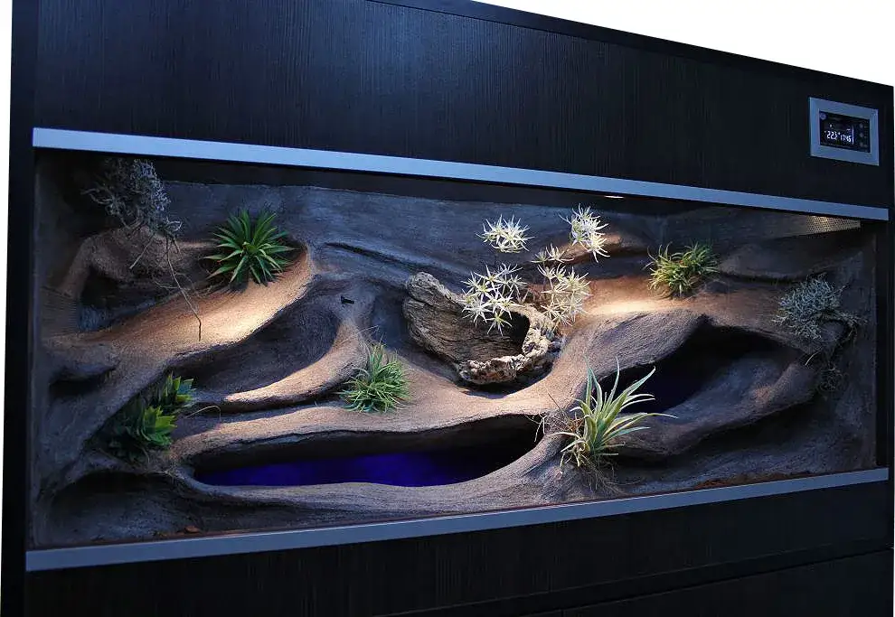 aranżacja terrarium gekon lamparci ścianka