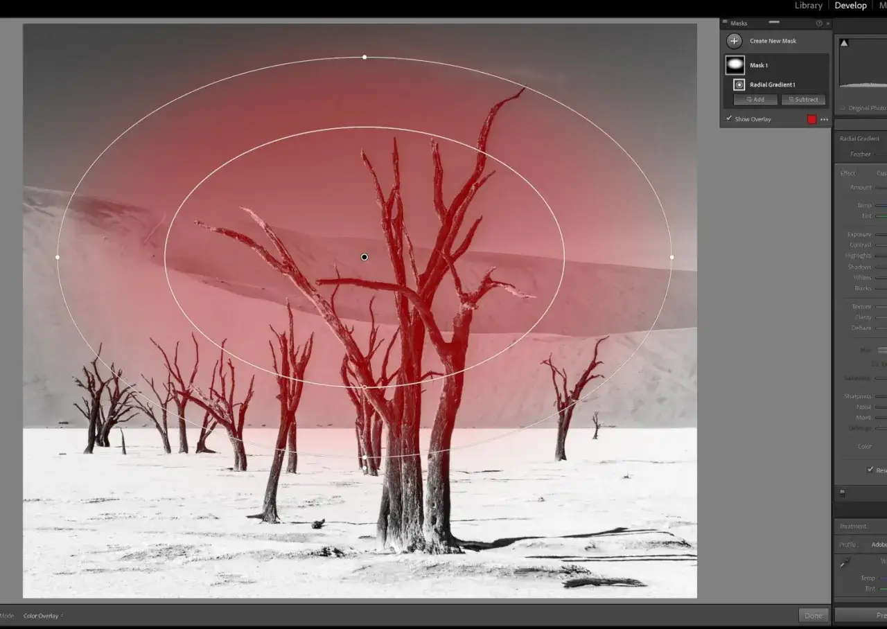 Arbre mort dans le d&eacute;sert, avec un filtre radial lightroom appliqu&eacute; pour un effet rougeoyant.