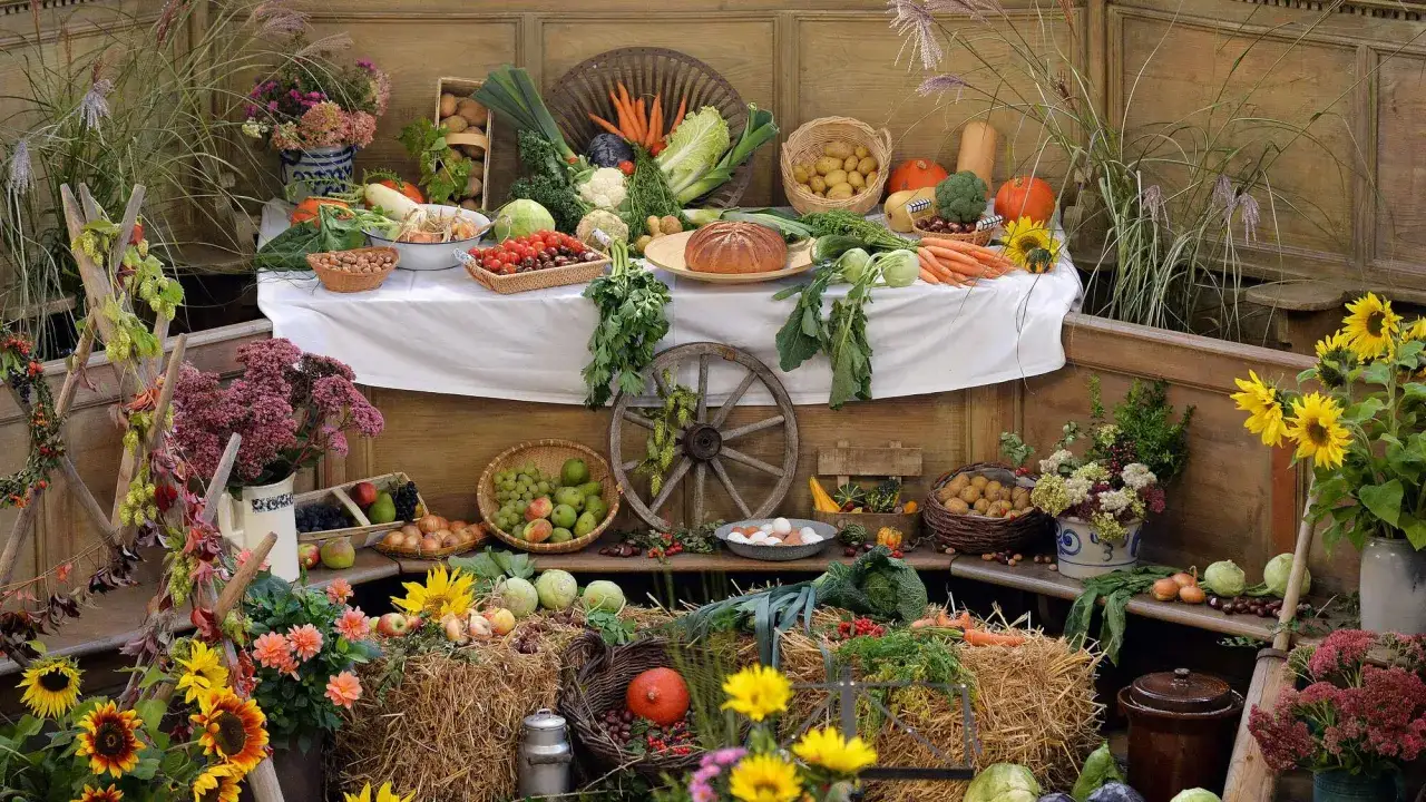Bunte Ernte: Gemüse, Obst, Brot und Blumen laden zum Erntedankfest ein.