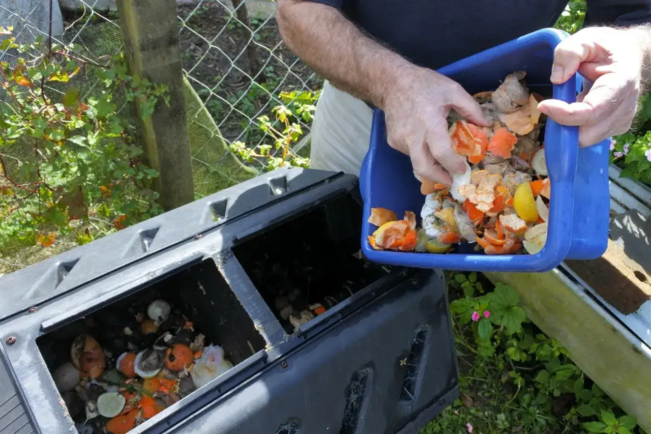 Kompostowanie resztek jedzenia to świetny spos&oacute;b, jak uniknąć opłaty za śmieci. Wrzucanie sk&oacute;rek cytrus&oacute;w i innych odpadk&oacute;w organicznych do kompostownika.