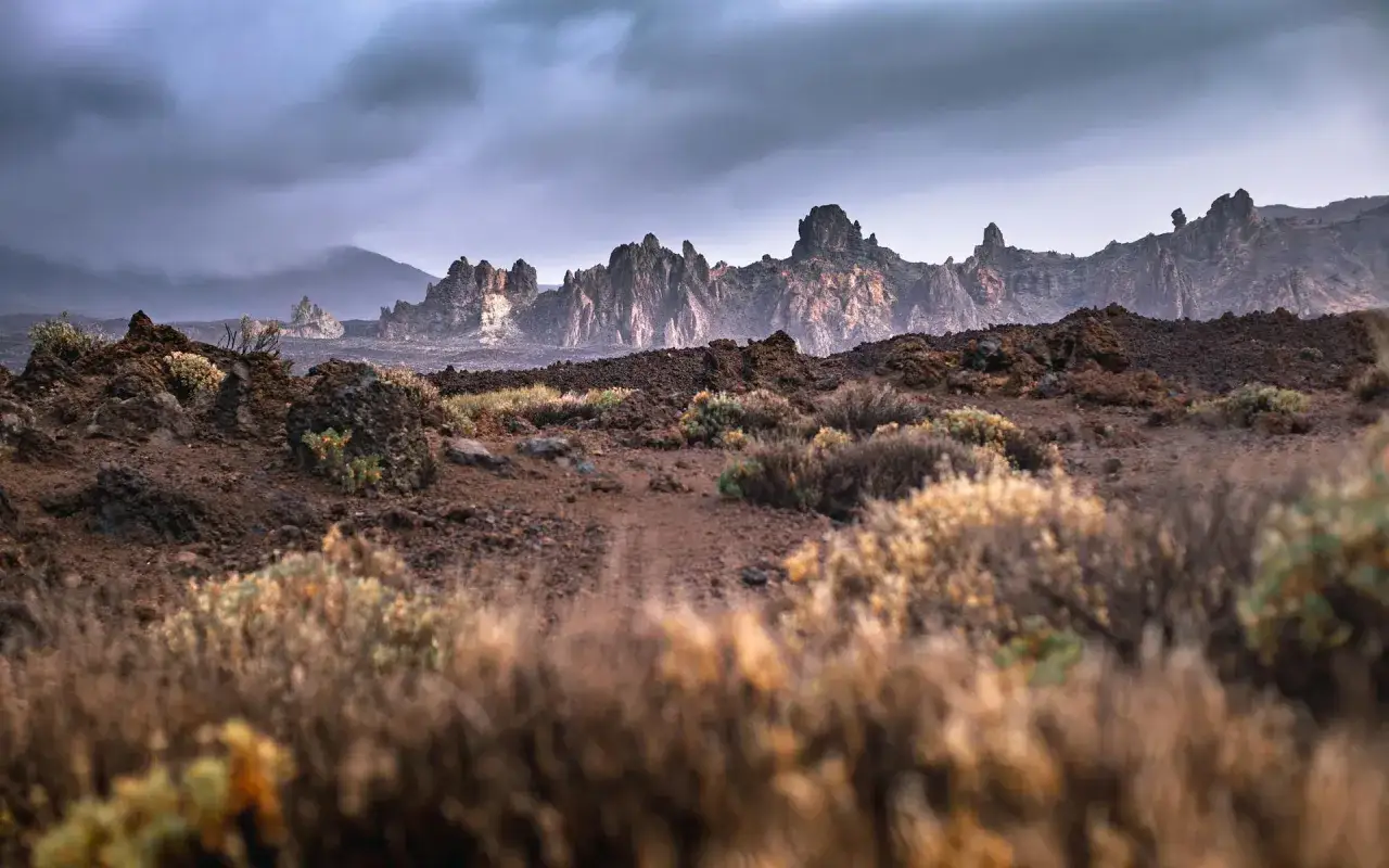 Paisaje volc&aacute;nico en uno de los parques nacionales, con rocas oscuras, vegetaci&oacute;n seca y monta&ntilde;as rocosas al fondo bajo un cielo nublado.