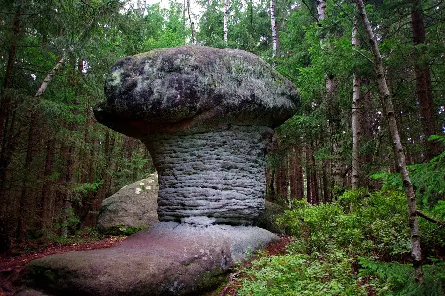 Skalne Grzyby Góry Stołowe