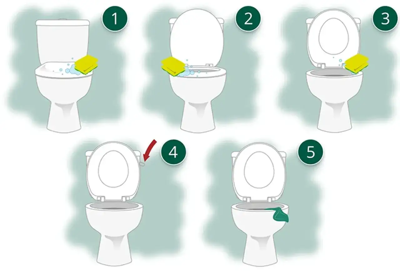 Schritt-für-Schritt-Anleitung, wie oft Toilette putzen: Schwamm mit Reinigungsmittel, Bürsten, Spülen und Abwischen.