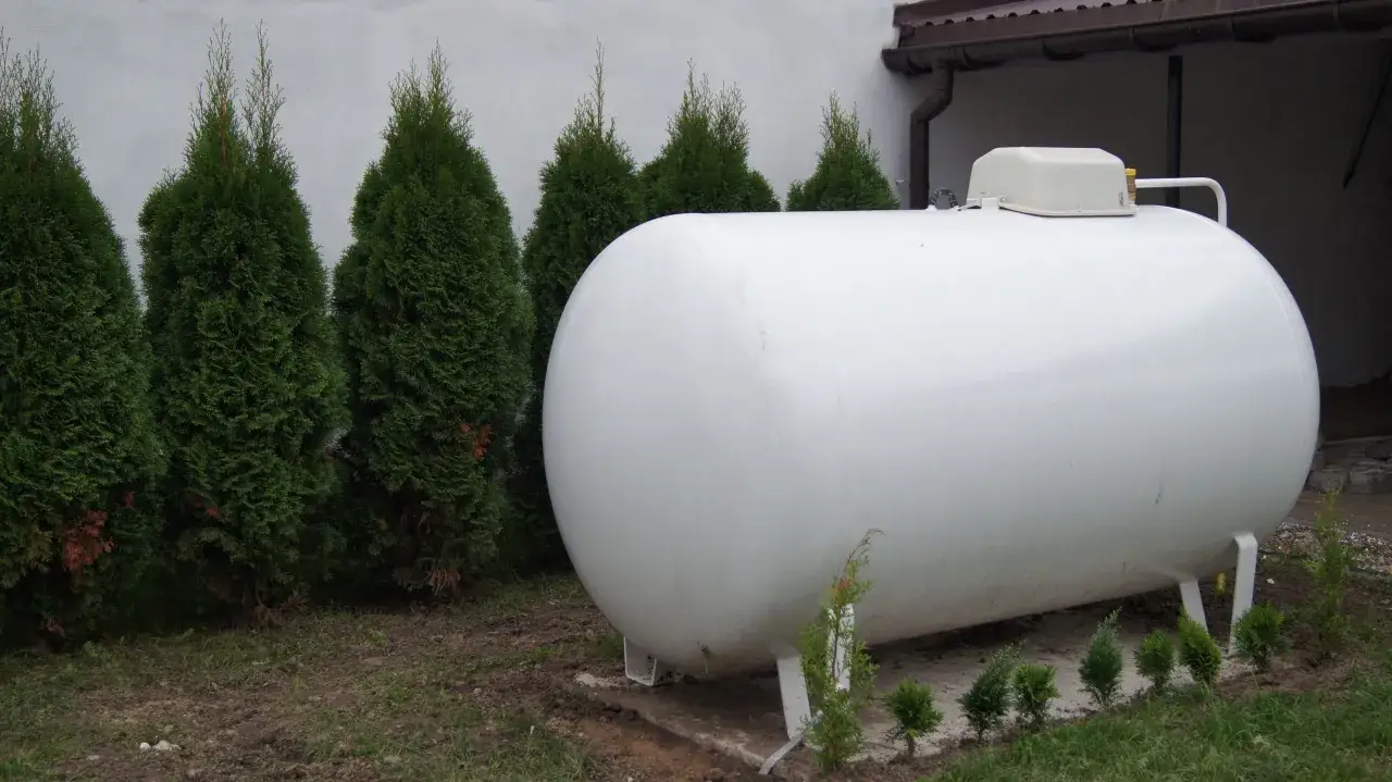 Duży, biały zbiornik na gaz stoi obok rzędu żywotników. Zastanawiasz się, ile kosztuje butla z gazem?