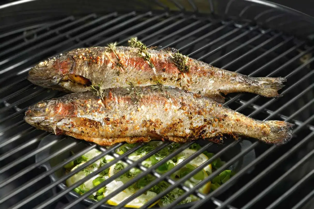 Zwei ganze Forellen mit Kräutern und Gewürzen werden auf einem Grill zubereitet. Darunter liegen Zitronenscheiben und Kräuter.
