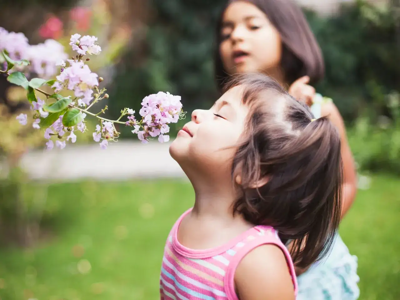 Ni&ntilde;os hipersensibles disfrutan del aroma de las flores. Una ni&ntilde;a huele delicadamente una flor rosa mientras su hermana la observa.