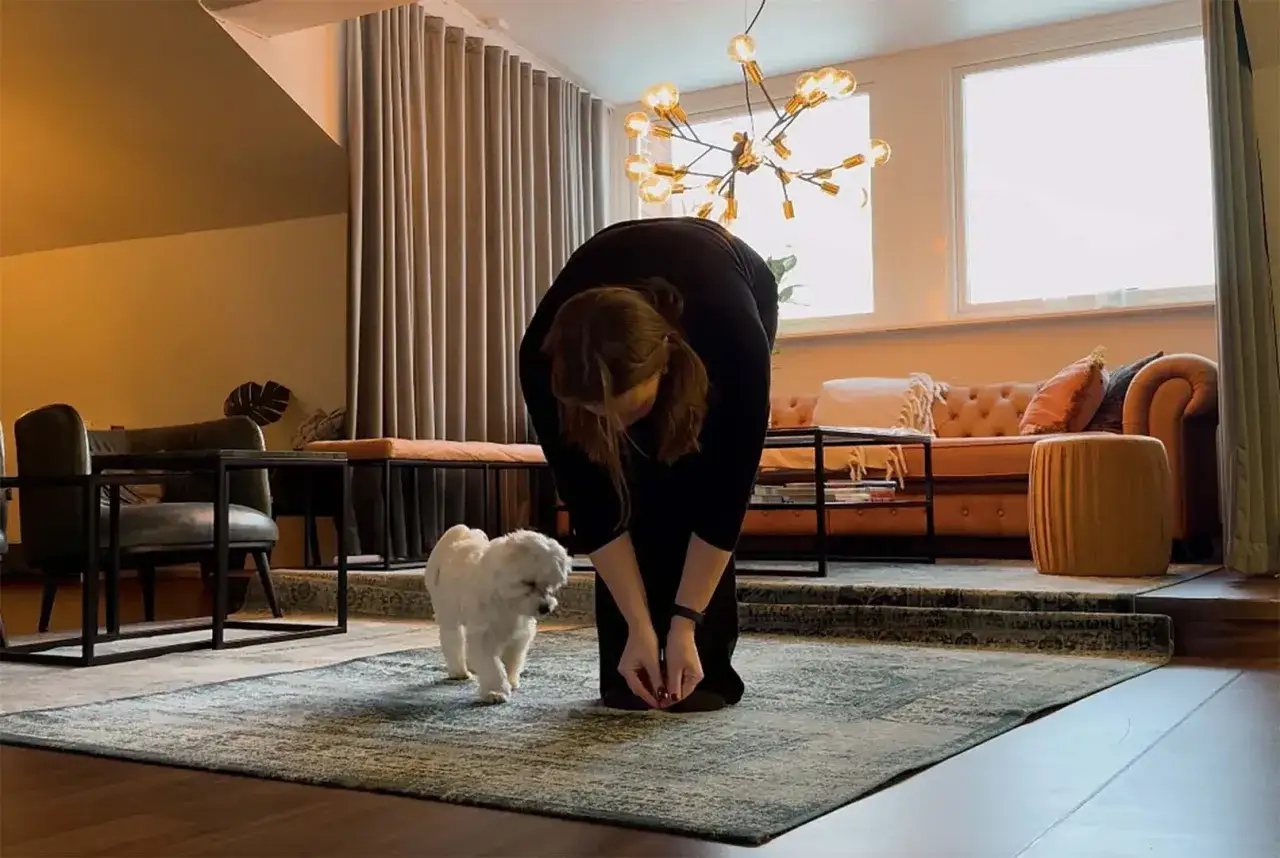 En person i svart klänning böjer sig ner mot en söt, vit valp på 6 månader. De är i ett modernt vardagsrum med en soffa och en taklampa.