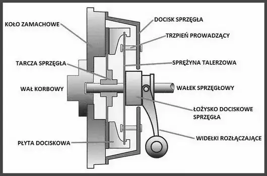 Schemat budowy sprzęgła samochodowego