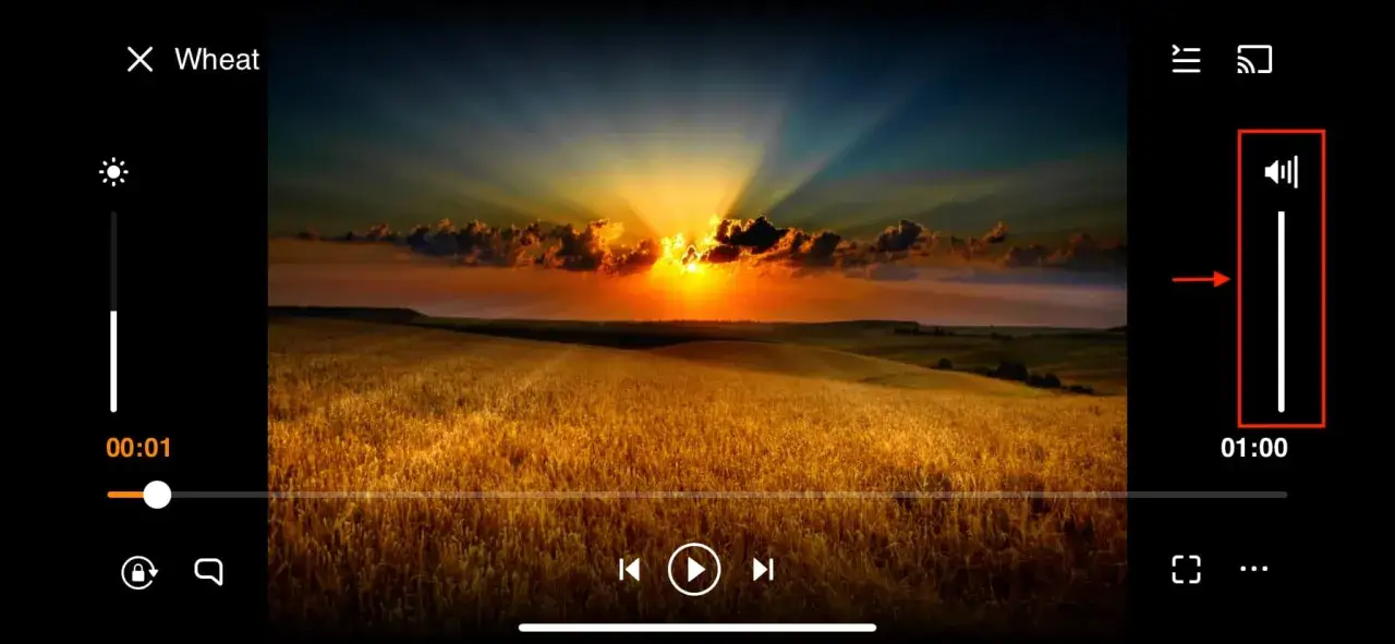VLC player screen showing a sunset over a wheat field. The volume slider is visible, indicating the user might be trying to convert to mp4 no audio.
