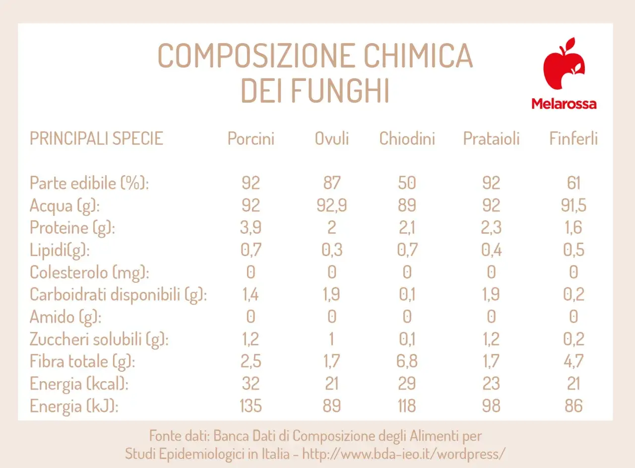 Tabella composizione chimica dei funghi: porcini, ovuli, chiodini, prataioli, finferli. I funghi sono verdure ricche di acqua e proteine.