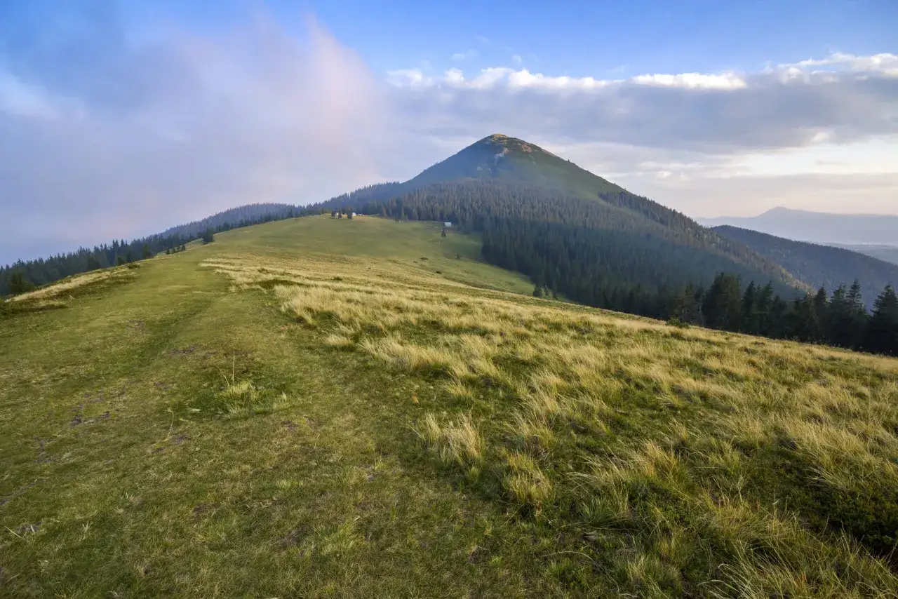 Widok na szczyt Turbacz, gdzie jest zielona hala i las. W oddali widać kolejne pasma górskie.