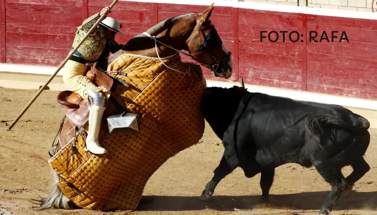 Un picador a caballo, con su capote acolchado, se enfrenta a un toro negro en el tercio de varas.
